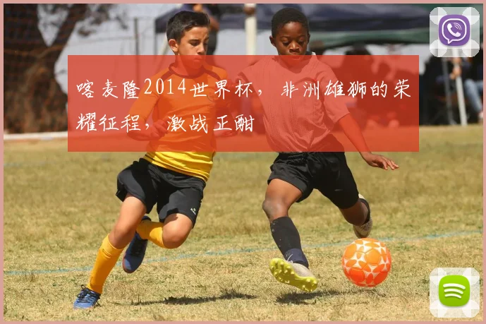 喀麦隆2014世界杯，非洲雄狮的荣耀征程，激战正酣