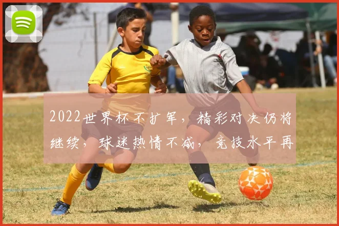 2022世界杯不扩军，精彩对决仍将继续，球迷热情不减，竞技水平再攀高峰