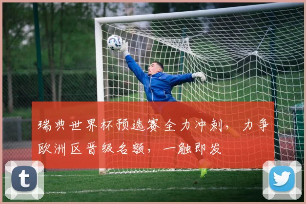 瑞典世界杯预选赛全力冲刺，力争欧洲区晋级名额，一触即发