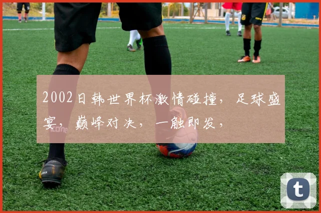 2002日韩世界杯激情碰撞，足球盛宴，巅峰对决，一触即发，