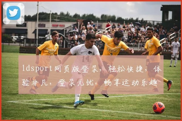 ldsport网页版登录，轻松快捷，体验非凡，登录无忧，畅享运动乐趣
