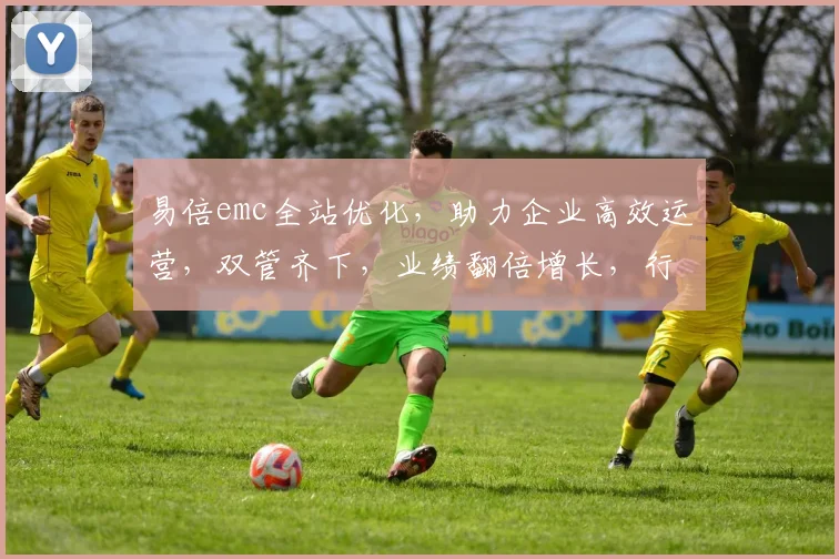 易倍emc全站优化，助力企业高效运营，双管齐下，业绩翻倍增长，行业领先